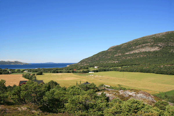Klikk for størrebilde