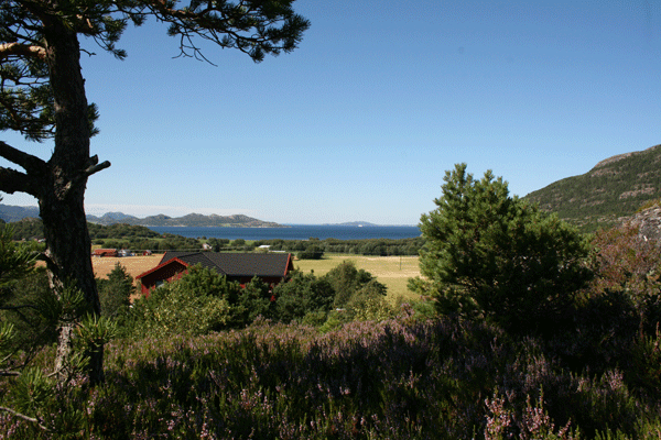 Klikk for større bilde!